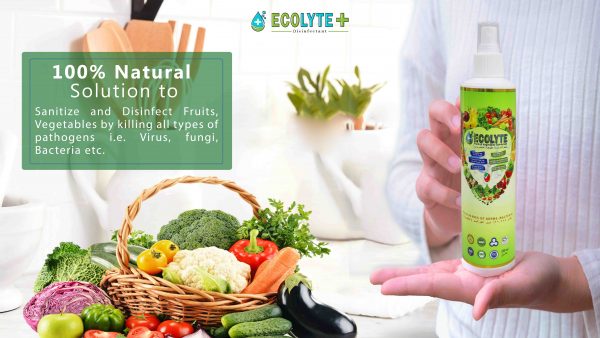 Ecolyte Fruits Vegetable Disinfectant 1 1 scaled 1 scaled