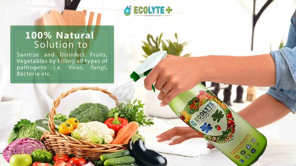 Ecolyte Fruits Vegetable Disinfectant 2 3 scaled 1 1 scaled