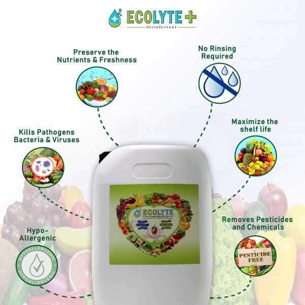 Ecolyte Fruits Vegetable Disinfectant 4 3 1 scaled