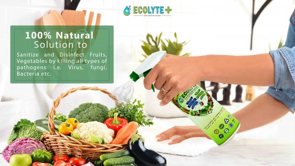 Ecolyte Fruits Vegetable Disinfectant 6 1 1 scaled