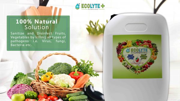 Ecolyte Fruits Vegetable Disinfectant 6 2 1 scaled