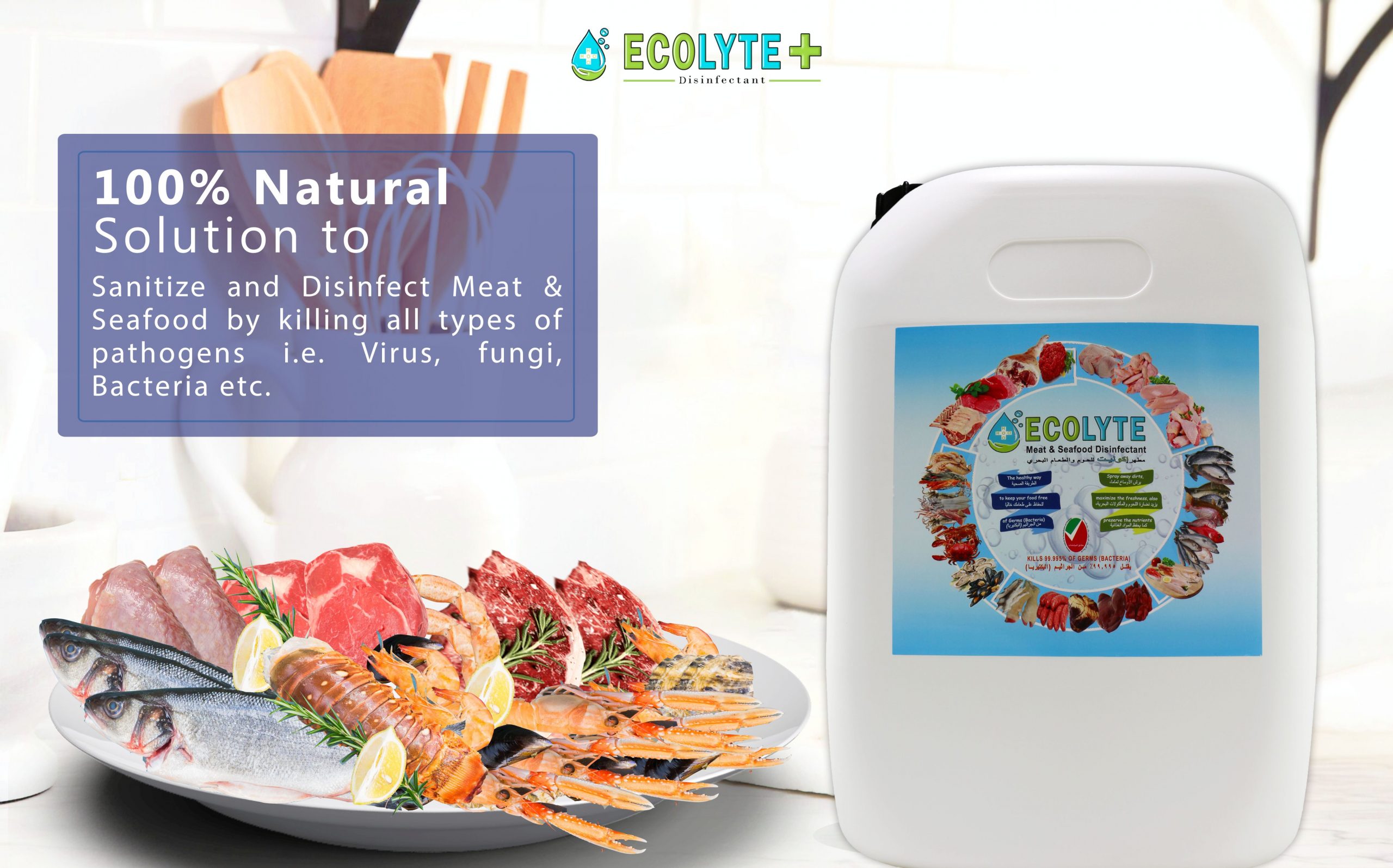 Ecolyte Meat & Seafood Disinfectant 100% Natural - 20 Litre