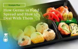 Germs Spread in Food