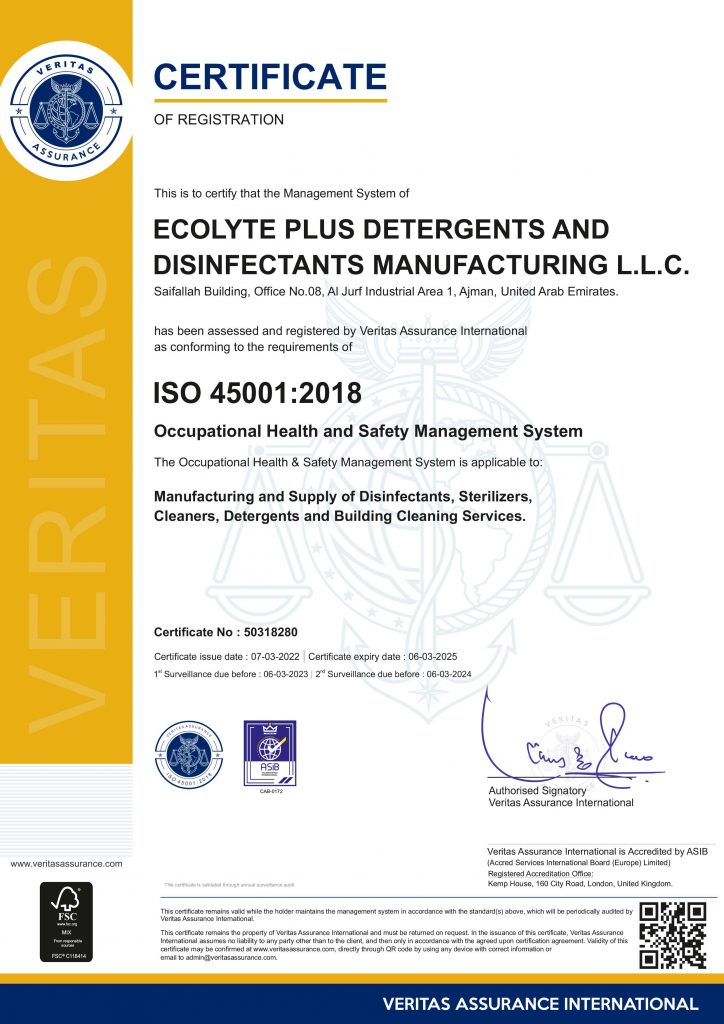 ISO 45001 Occupational Health Safety Management Systems 1 1